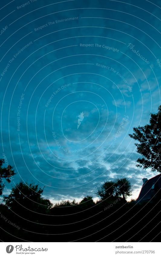 Abends im Gärtchen Erholung Sommer Häusliches Leben Garten Umwelt Natur Landschaft Himmel Wolken Klima Klimawandel Wetter Schönes Wetter Baum Blatt Park Gefühle