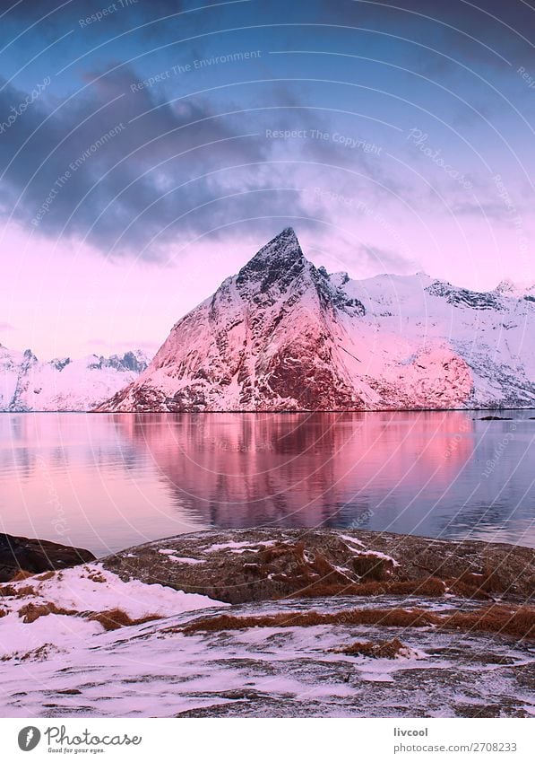 reine Landschaft-norwegen Erholung ruhig Ferien & Urlaub & Reisen Meer Insel Winter Schnee Berge u. Gebirge Haus Natur Wetter Schneefall Baum Hügel Felsen Küste