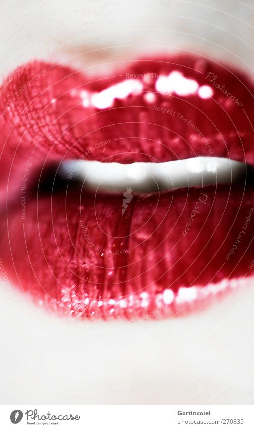 Bouche Mensch feminin Mund Lippen Zähne ästhetisch Leidenschaft Liebe Erotik Lippenstift Schmollmund Kussmund Küssen glänzend Lipgloss Farbfoto Nahaufnahme