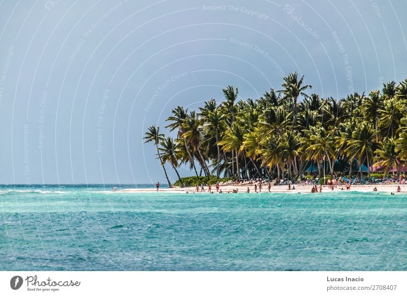 Saona Insel bei Punta Cana, Dominikanische Republik Ferien & Urlaub & Reisen Tourismus Sommer Strand Meer Umwelt Natur Sand Baum Blatt Küste Fernweh amerika