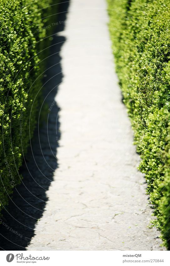 Ab durch die... Kunst ästhetisch Natur Wege & Pfade grün Symmetrie Genauigkeit Schneise Hecke getrimmt Gartenbau Tor Farbfoto Gedeckte Farben Außenaufnahme