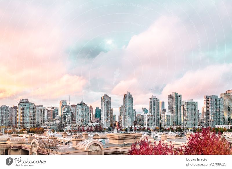 Herbstlicher Sonnenuntergang in Downtown Vancouver, Kanada Insel Haus Büro Business Umwelt Natur Himmel Wolken Baum Blatt Fluss Stadtzentrum Skyline Hochhaus