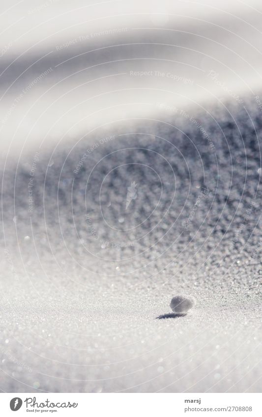 Schneekügelchen harmonisch ruhig Winter liegen kalt klein Schneekugel minimalistisch Farbfoto Gedeckte Farben Außenaufnahme abstrakt Menschenleer