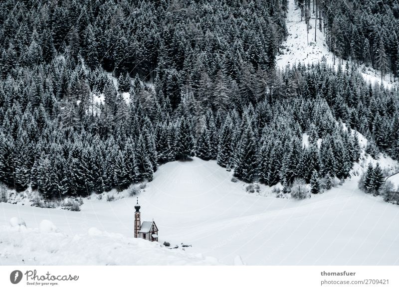 Kapelle in den verschneiten Bergen Winter Schnee Berge u. Gebirge Weihnachten & Advent Natur Landschaft Eis Frost Baum Wald Alpen Dorf Kirche Sehenswürdigkeit