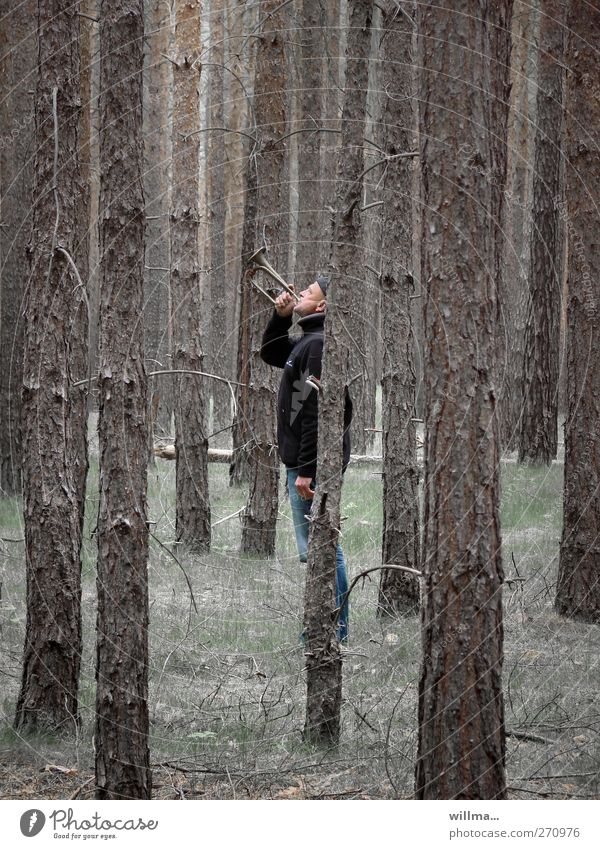 Wie man in den Wald hineinruft, so schallt es heraus. Auch wenn man vom Tuten und Blasen keine Ahnung hat. Mensch Baumstämme Mann Trompete Signalhorn laut