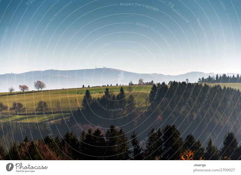 Lau Tourismus Natur Landschaft Wolkenloser Himmel Horizont Sommer Herbst Schönes Wetter Baum Fichtenwald Wiese Wald Feldberg Erholung schön Stimmung ästhetisch