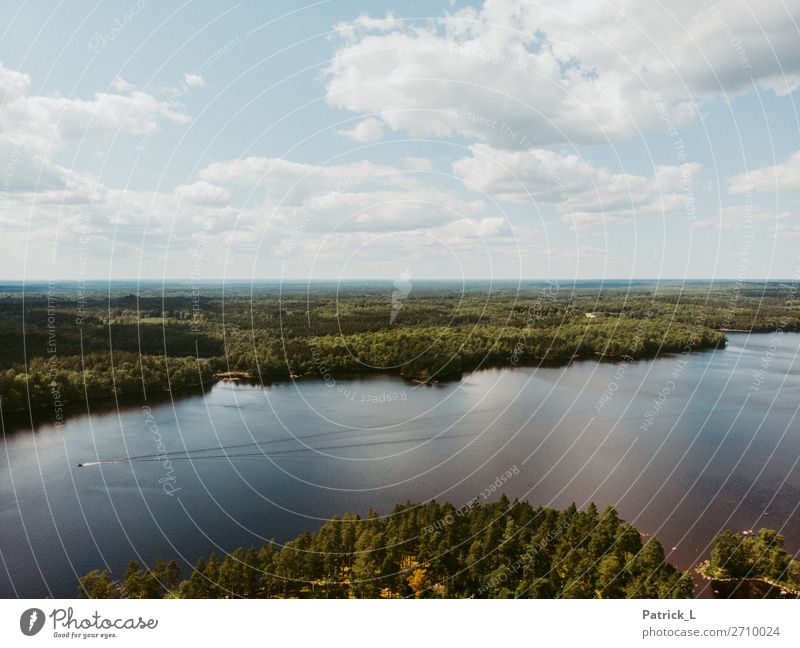 Schwedenvibes Landschaft Wasser Himmel Wolken Sommer Wildpflanze Wald Seeufer atmen einfach elegant Ferne stark wild blau grün Lebensfreude Vorfreude