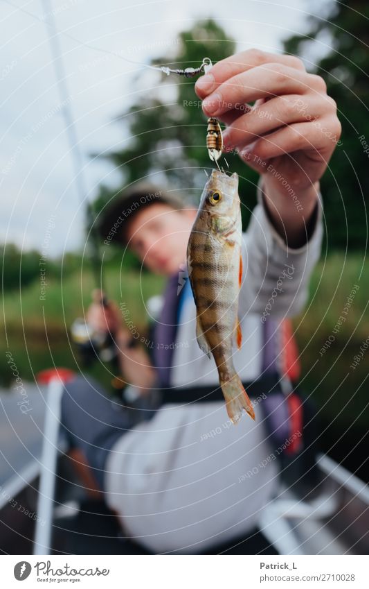 Barschalarm Wildtier 1 Tier fangen hängen exotisch Ungerechtigkeit Abenteuer Erfolg Fisch rot grün braun Streifen Petri Heil Angeln Kanu Kanutour Haken