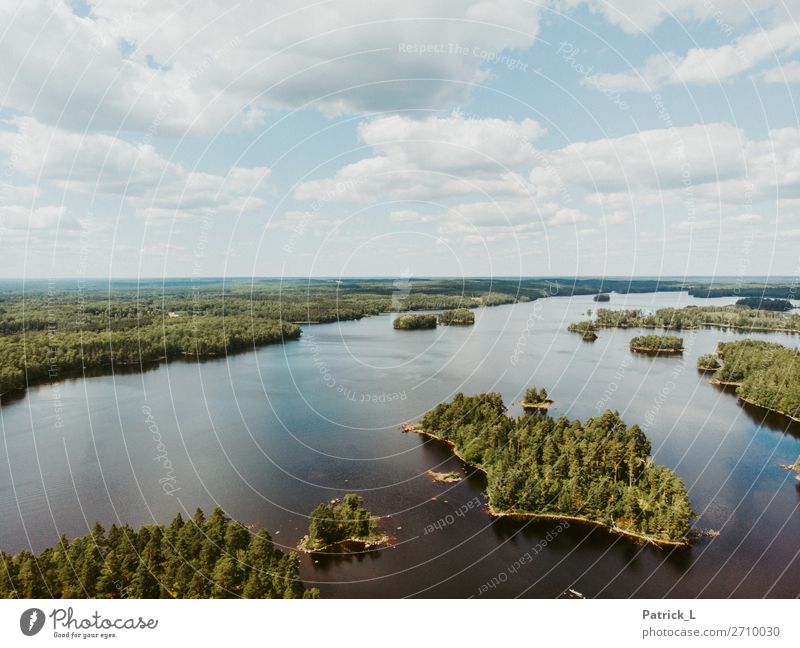 Inselmania Natur Pflanze Wasser Himmel Horizont Kiefer Nadelbaum Wald Seeufer authentisch einzigartig schön wild blau grün Freiheit Ferne Naturschutzgebiet