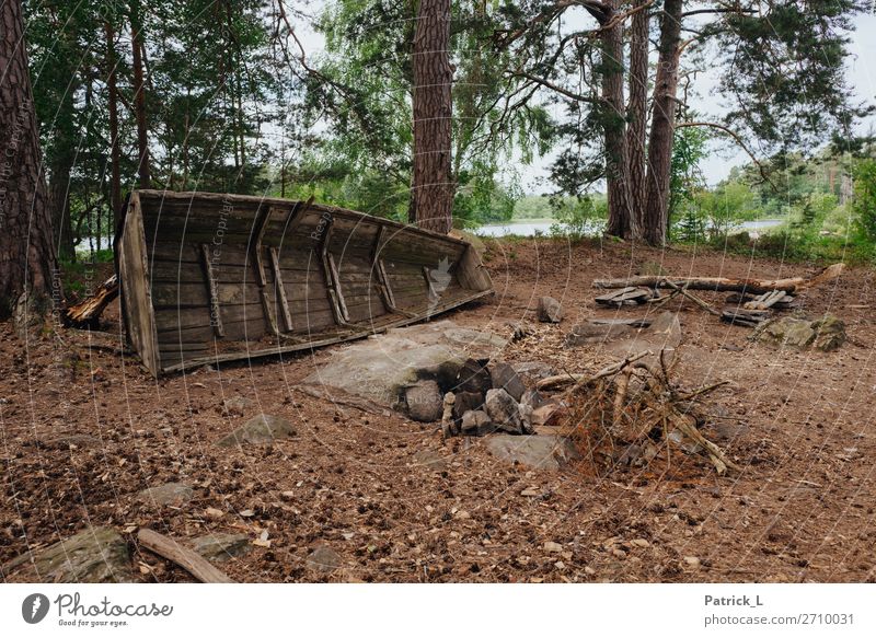 Lagerplatz Umwelt bauen entdecken Erholung liegen schlafen alt dreckig exotisch frei Zusammensein kaputt wild braun grün Schutz Abenteuer nachhaltig Natur