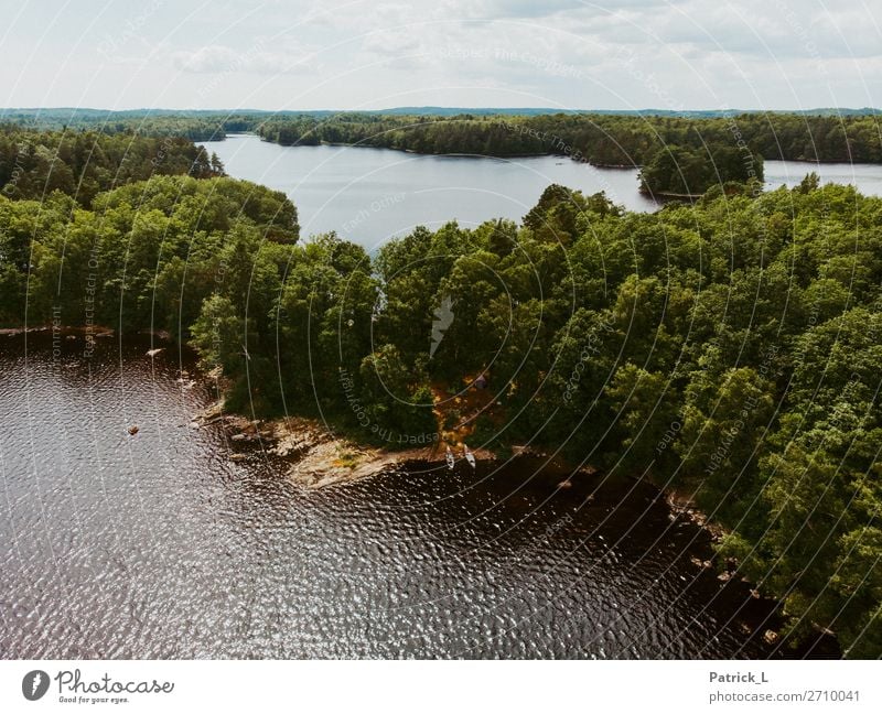 Abenteuerschweden Natur Landschaft Wasser Sommer Schönes Wetter Wald Insel frei Unendlichkeit Wärme grün Kraft Mut Gelassenheit ruhig Fernweh Erholung Stimmung