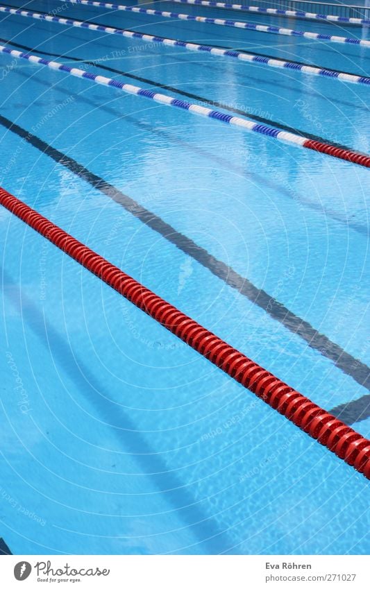 Freie Bahn sportlich Fitness Schwimmen & Baden Freizeit & Hobby Sommer Sport Wassersport Schwimmbad Freibad Barriere Bewegung Flüssigkeit kalt Sauberkeit blau