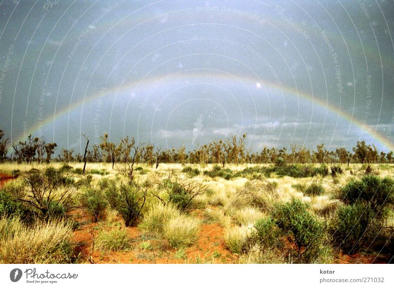 all the way across the sky Umwelt Natur Landschaft Pflanze Urelemente Erde Sand Luft Wassertropfen Wolken Horizont Sonne Sonnenlicht Sommer Schönes Wetter Wüste