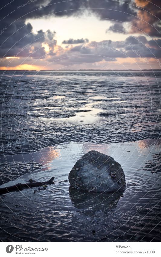 ...da tut sich noch watt meer Umwelt Natur Wasser Wolken Horizont Seeufer kalt Meer Wattenmeer Stein Schnecke Wellen Nordsee Sand Schlamm Sonnenuntergang