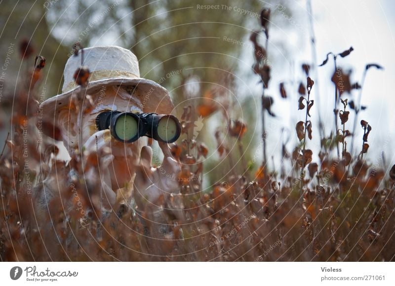 Hiddensee | Hiddenseh Kopf Fernglas beobachten Neugier Misstrauen entdecken Hecke Hut Deckung verstecken Farbfoto Außenaufnahme Blick