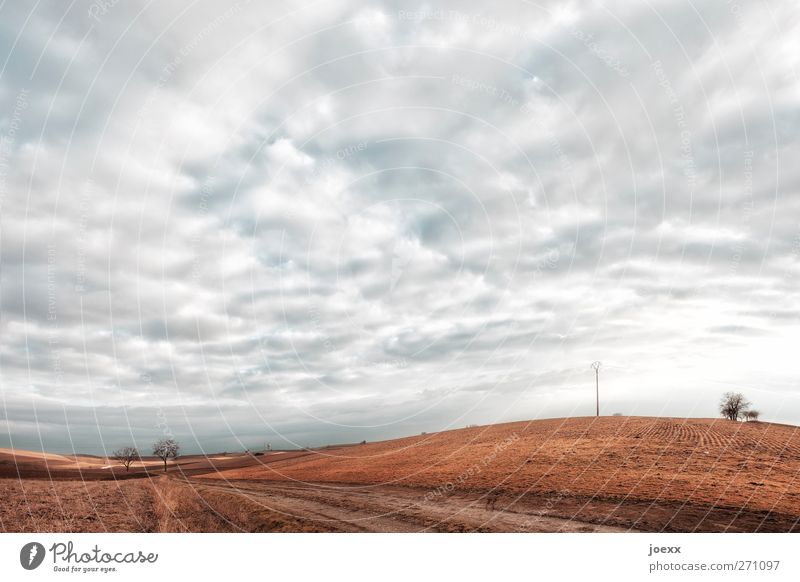 Die Toteninsel Landschaft Erde Himmel Wolken Horizont Herbst Klima Wetter Baum Feld Hügel Wege & Pfade frei blau braun grau weiß ruhig Idylle Umwelt Fußweg