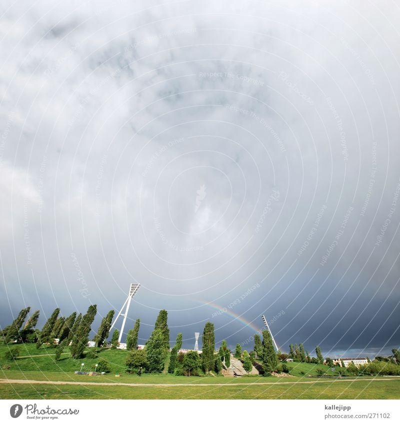 mauerparkspektakel Sportstätten Stadion Umwelt Natur Landschaft Park grün Regenbogen Berlin Pappeln Gewitter Unwetter Sommer Farbfoto Außenaufnahme Licht