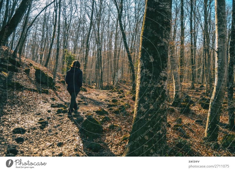 Ein Mädchen geht durch einen Wald von kahlen Bäumen Erholung Meditation Ferien & Urlaub & Reisen Tourismus Abenteuer wandern Mensch Frau Erwachsene Natur