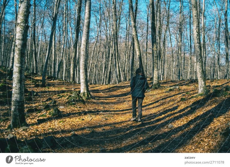 Ein Mädchen wandert durch den Schatten der Bäume in einem herbstlichen Wald schön Erholung Meditation Ferien & Urlaub & Reisen Tourismus Ausflug Abenteuer