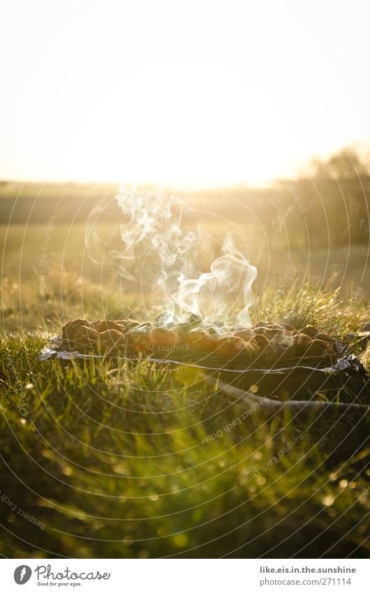 Sunset-grillen*** Fleisch Ernährung Abendessen Picknick Lifestyle Freizeit & Hobby Ausflug Abenteuer Sommer Sommerurlaub Garten Natur Landschaft Schönes Wetter