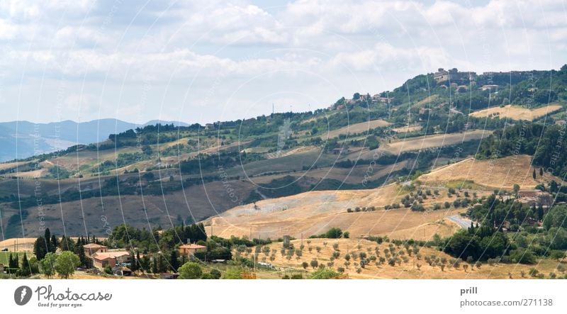 Tuscany landscape Sommer Haus Landwirtschaft Forstwirtschaft Kultur Natur Landschaft Pflanze Sträucher Feld Gebäude Architektur friedlich Idylle Tradition