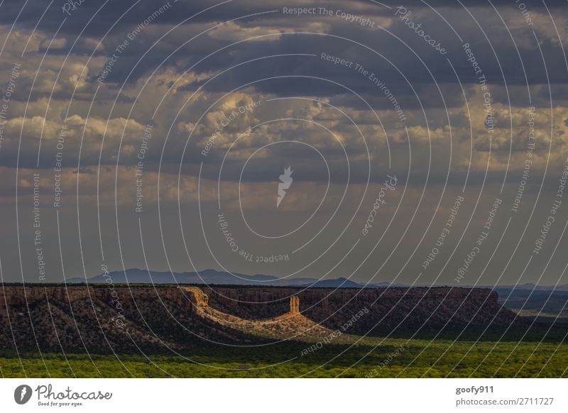 Im Rampenlicht II Ferien & Urlaub & Reisen Tourismus Ausflug Abenteuer Ferne Freiheit Expedition Sonne Umwelt Natur Landschaft Pflanze Tier Himmel Wolken