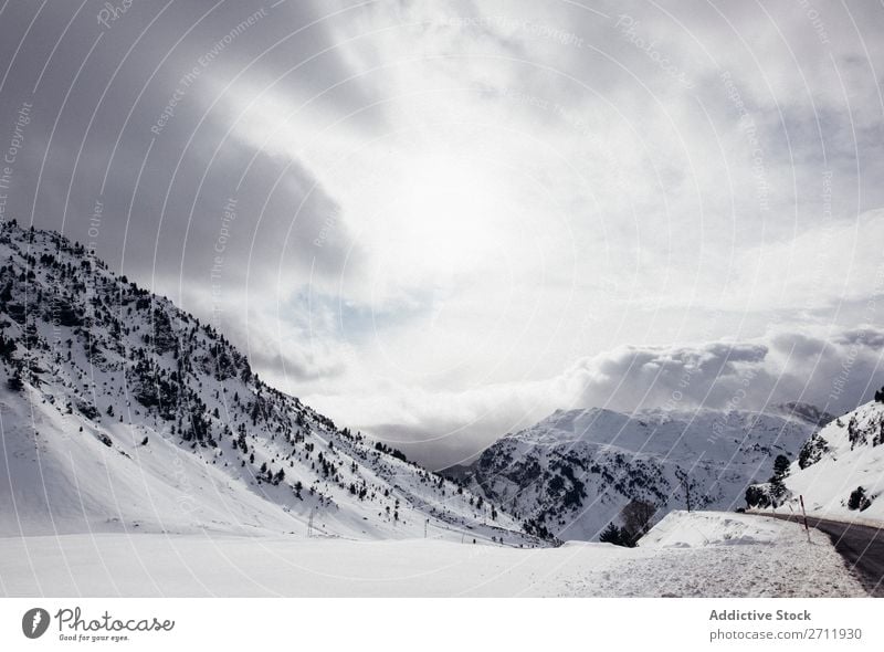 Tannenwald mit Schnee bedeckt Wald Winter Natur weiß Berge u. Gebirge Hügel kalt Baum Frost Landschaft Eis Jahreszeiten Holz Beautyfotografie Fichte schön