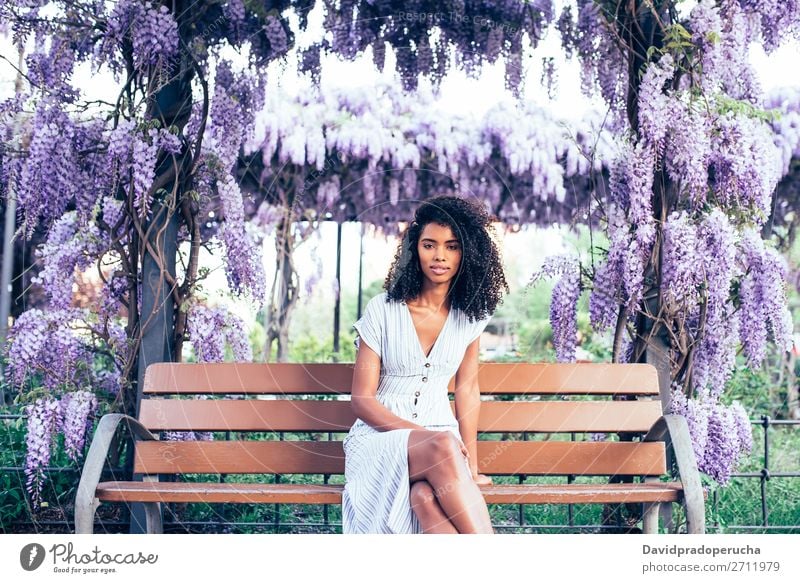 Fröhliche junge schwarze Frau, die von Blumen umgeben sitzt. Blüte Frühling Fliederbusch Porträt multiethnisch Afrikanisch Person gemischter Abstammung Lächeln