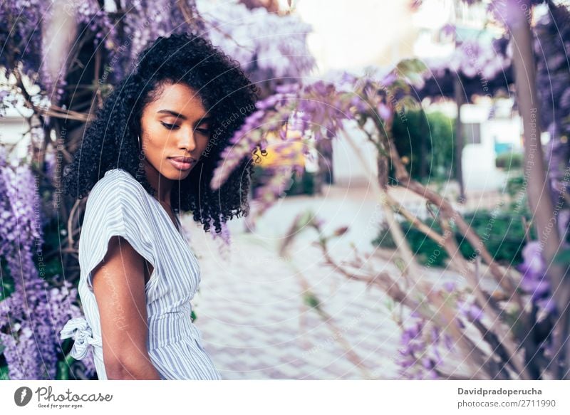 Nachdenkliche junge schwarze Frau, die von Blumen umgeben sitzt. Blüte Frühling Fliederbusch Porträt multiethnisch Afrikanisch Person gemischter Abstammung