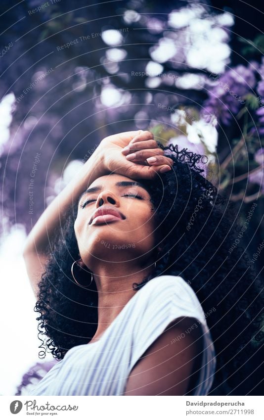 Nachdenkliche junge schwarze Frau, die von Blumen umgeben sitzt. Blüte Frühling Fliederbusch Porträt Nahaufnahme multiethnisch Afrikanisch