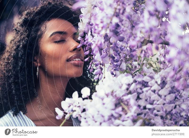 Nachdenklich fröhliche junge schwarze Frau, umgeben von Blumen. Blüte Frühling Fliederbusch Nahaufnahme multiethnisch Afrikanisch Person gemischter Abstammung