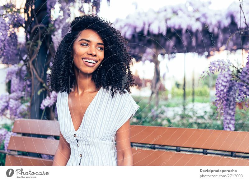 Fröhliche junge schwarze Frau, die von Blumen umgeben sitzt. Blüte Frühling Fliederbusch Porträt multiethnisch Afrikanisch Person gemischter Abstammung Lächeln