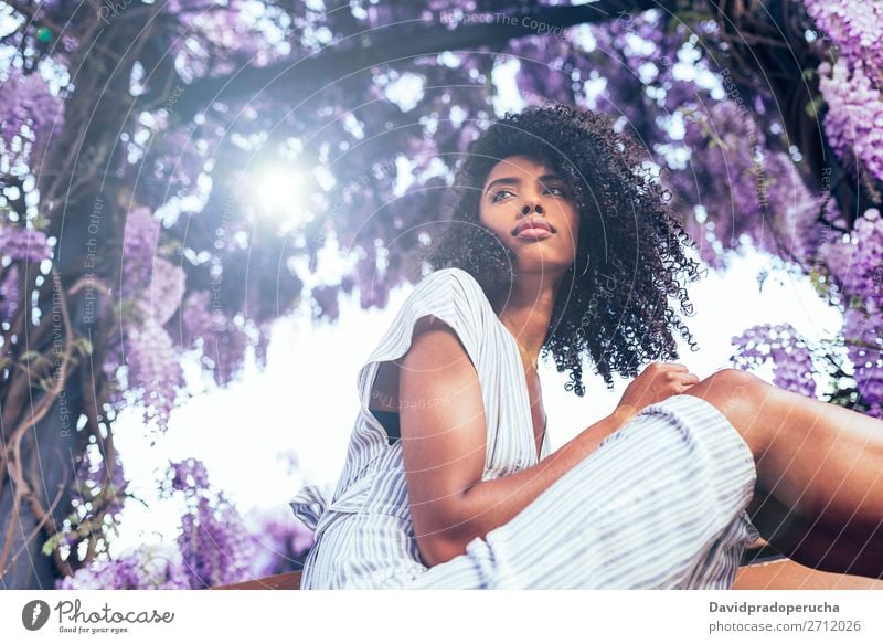 Junge schwarze Frau, die umgeben von Blumen sitzt. Blüte Frühling Fliederbusch Porträt multiethnisch Afrikanisch Person gemischter Abstammung Lächeln Wegsehen