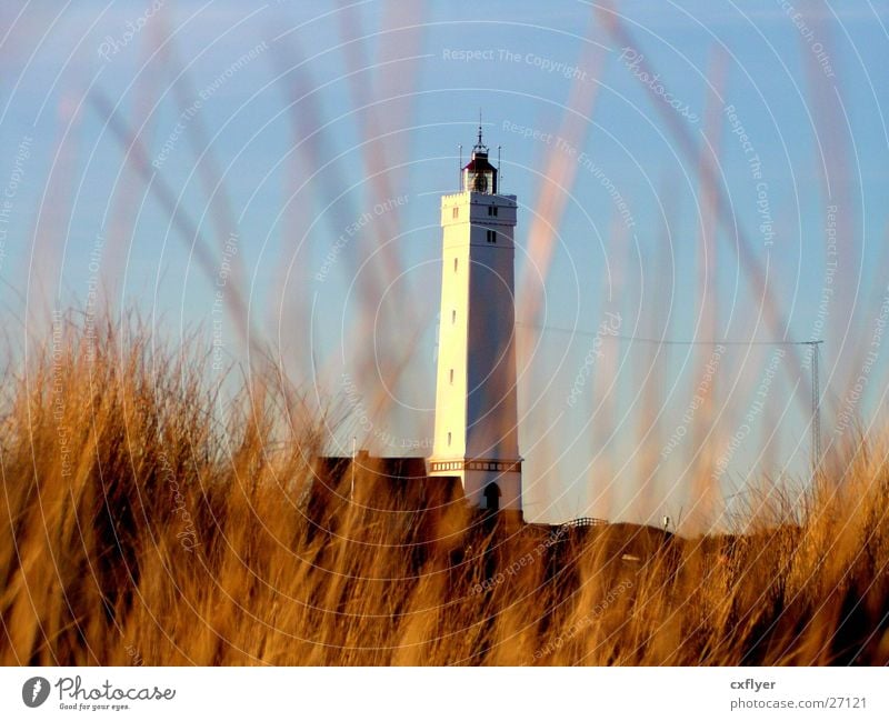 Leuchtturm in den Dünen Strand Gras Architektur Stranddüne Sonne