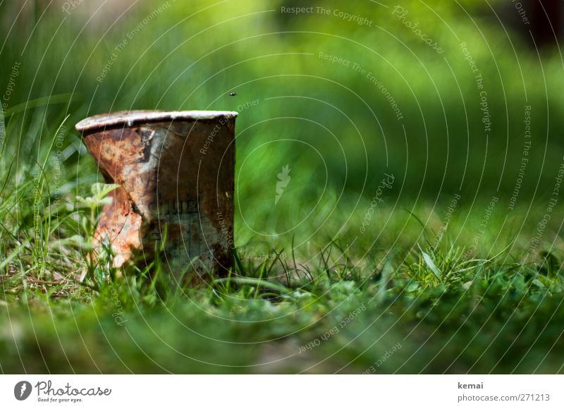 AST5 | Altmetall Umwelt Natur Pflanze Sonne Sonnenlicht Sommer Schönes Wetter Gras Grünpflanze Park Konservendose Dose Metall alt kaputt braun grün Ende