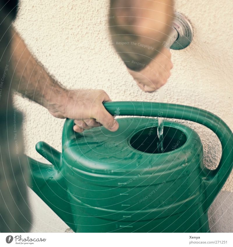 Kanne Wasser maskulin Arme 1 Mensch Garten Gießkanne grün Gartenarbeit gießen Bildausschnitt Außenaufnahme Tag Schwache Tiefenschärfe