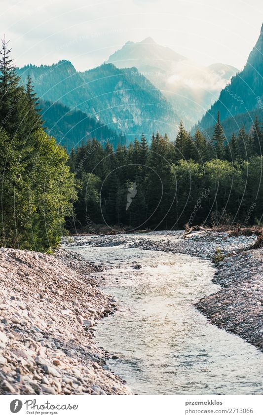 Bergfluss Tal Landschaft schön Ferien & Urlaub & Reisen Sommer Sonne Berge u. Gebirge Natur Wasser Himmel Sonnenlicht Schönes Wetter Blitze Baum Park Wald Hügel