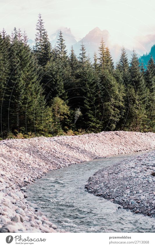 Bergfluss Tal Landschaft schön Ferien & Urlaub & Reisen Sommer Berge u. Gebirge Umwelt Natur Himmel Baum Park Wald Hügel Felsen Fluss Stein natürlich grün Tatra