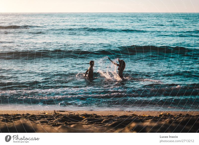 Paar beim Spielen am Strand an den Sunset Cliffs, San Diego Ferien & Urlaub & Reisen Tourismus Ausflug Sommer Sommerurlaub Sonne Meer Wellen Mensch maskulin