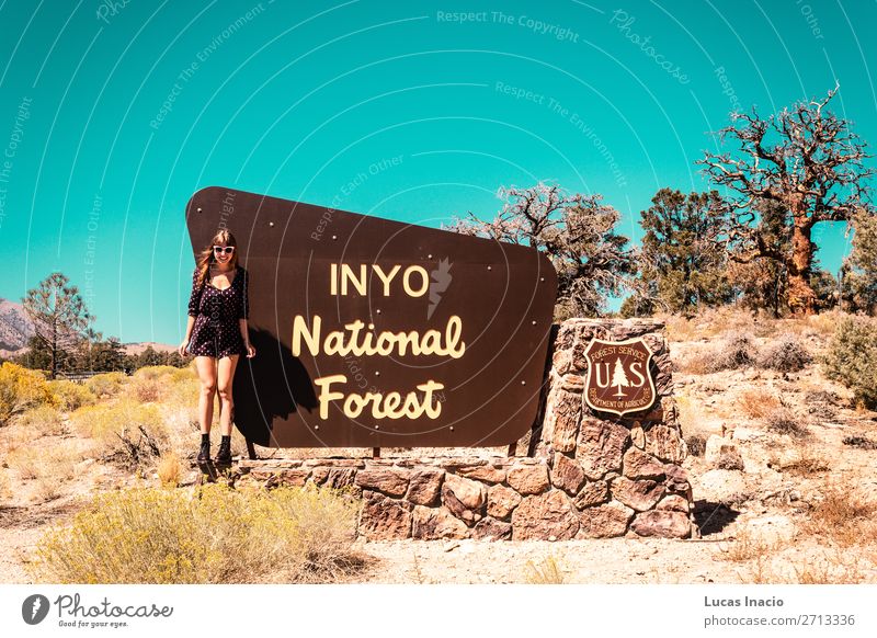 Mädchen beim INYO National Forest Schild, in der Nähe von Kalifornien und Nevada. Ferien & Urlaub & Reisen Tourismus Mensch feminin Junge Frau Jugendliche