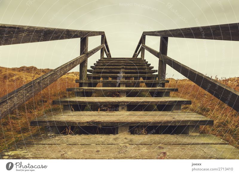 Holztreppe mit Geländer zum Weg über die Düne holztreppe Stufen Himmel Wolken Aufstieg Bohlen nach oben himmelwärts anstieg Stiege Menschenleer Treppe