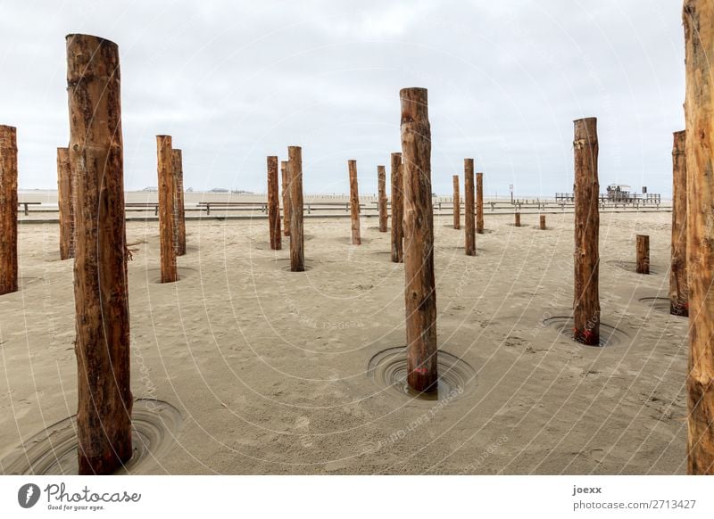 Vollpfosten Holz braun grau Pfosten Holzpfahl St. Peter-Ording Strand Farbfoto Gedeckte Farben Menschenleer Tag Starke Tiefenschärfe