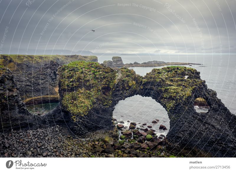 Tor Natur Landschaft Pflanze Himmel Wolken Horizont Frühling schlechtes Wetter Wind Regen Moos Felsen Küste Strand Meer dunkel gigantisch blau braun grau grün