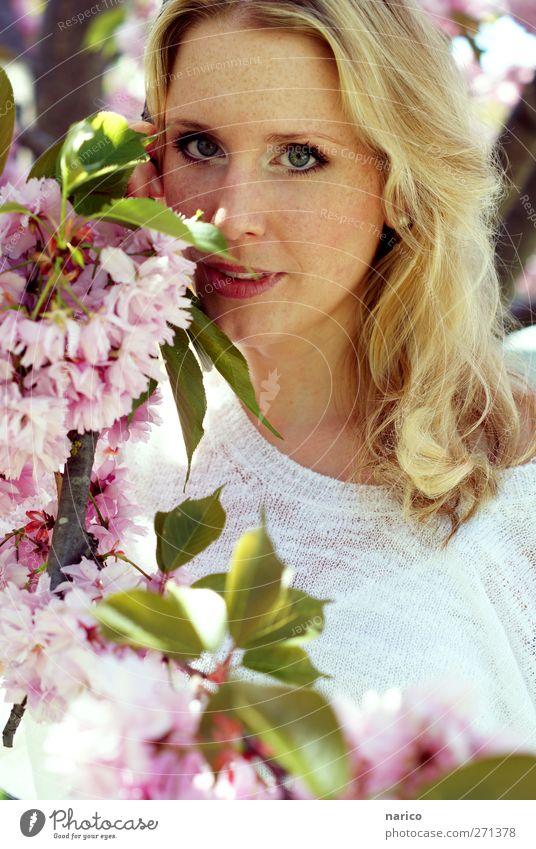 summertime I Haare & Frisuren Haut Gesicht Mensch feminin Frau Erwachsene 1 18-30 Jahre Jugendliche Natur Pflanze Sonnenlicht Frühling Sommer Baum Blüte blond