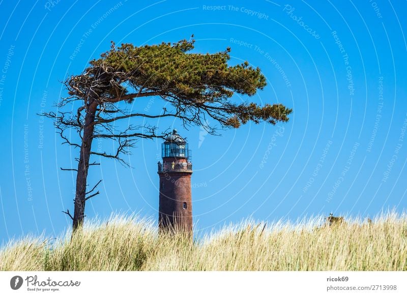 Leuchtturm Darßer Ort auf dem Fischland-Darß Erholung Ferien & Urlaub & Reisen Tourismus Natur Landschaft Wolken Wetter Baum Küste Ostsee Architektur