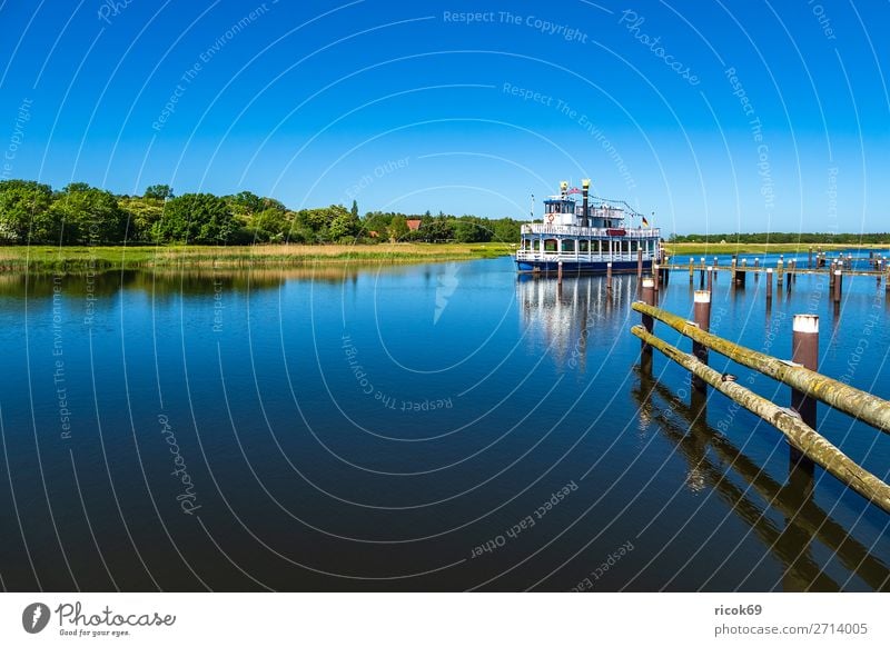 Ausflugsschiff auf dem Prerowstrom in Prerow Erholung Ferien & Urlaub & Reisen Tourismus Natur Landschaft Wasser Wolkenloser Himmel Wetter Baum Wald Hafen