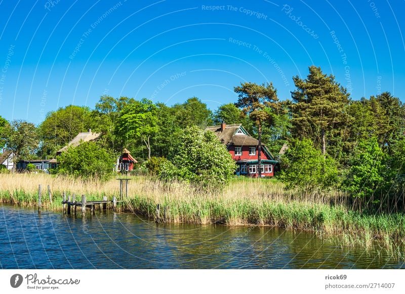 Häuser am Prerowstrom in Prerow Erholung Ferien & Urlaub & Reisen Tourismus Haus Natur Landschaft Wasser Wolkenloser Himmel Wetter Baum Blatt Dorf Gebäude