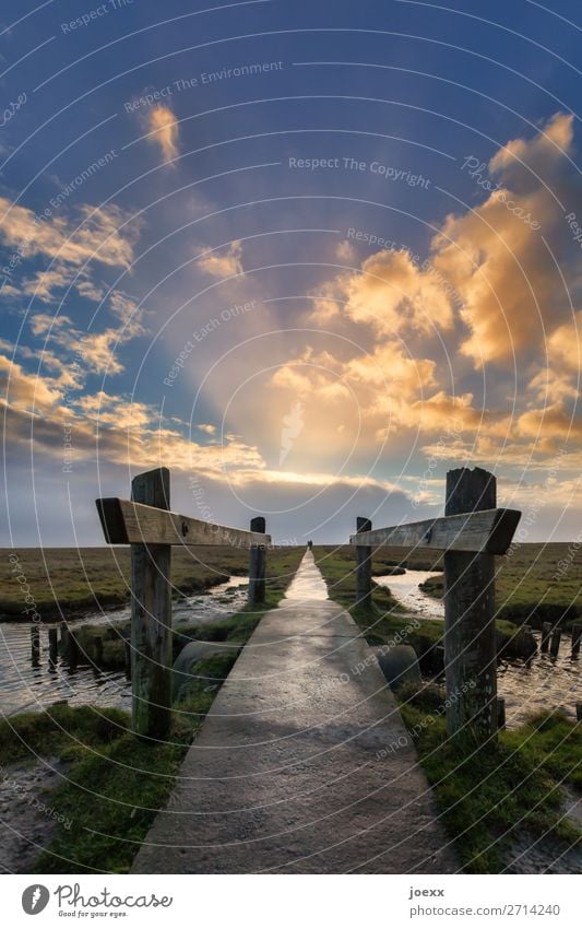 | wandern 2 Mensch Himmel Wolken Horizont Wetter Schönes Wetter Wiese Nordsee Brücke Wege & Pfade Holz gehen nass blau braun grün Optimismus Mut ruhig Hoffnung