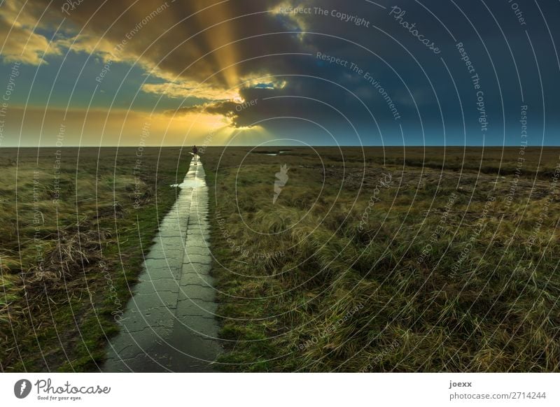 Unersetzlich 1 Mensch Natur Landschaft Himmel Wolken Horizont Sonnenlicht Schönes Wetter Gras Wiese Wege & Pfade Fußweg gehen Mut Warmherzigkeit ruhig Hoffnung