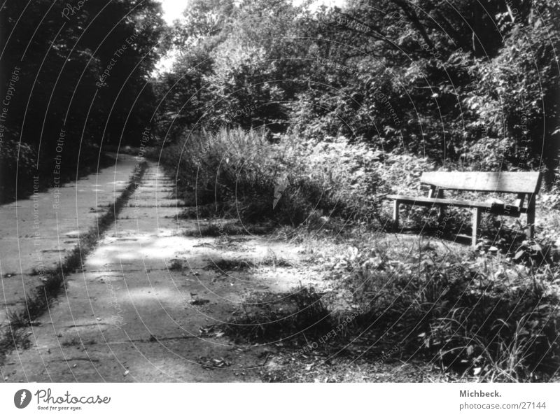 Zeit mal Weg Licht Park schwarz weiß Wald Wege & Pfade Bank Plattenweg